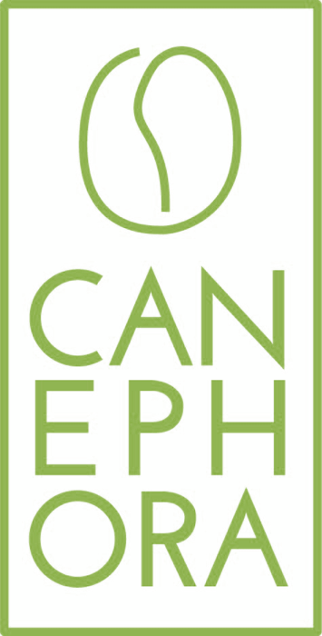 Canephora